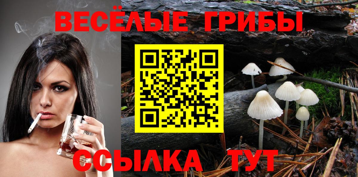 Зеленогорск  купить  сайты  Вход с VPN  Галлюциногенные грибы Psilocybine cubensis 