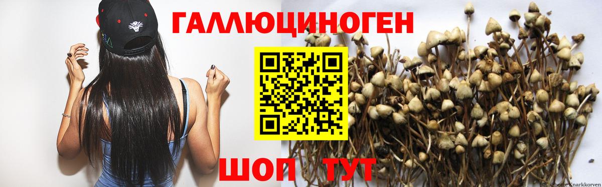 Псилоцибиновые грибы мицелий Зеленогорск